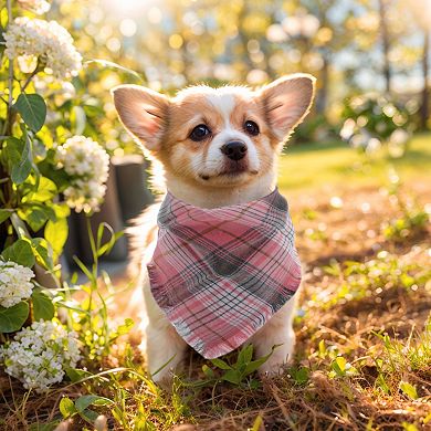 Dog Bandanas with Tassels Edges, Stylish Plaid Scarf Bib for Small Pets, 2 Pcs