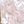 Gold Tone Pink