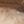 Coffee Color