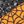 Black Orange