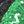Black Green