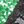 Green Black