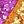 Purple Orange
