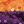 Dark Purple Orange