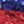 Red Blue