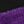 Black Purple