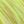 Fluorescent Yellow