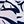Navy Zebra Print