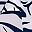 Navy Zebra Print