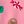 Pink Gingerbread