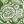 Emerald Leaf Floral