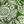 Emerald Leaf Floral