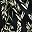 Black Wispy Leaves