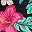 Black Floral