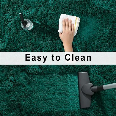 Fluffy Oval Area Rug 2.6x5.3 Ft, Soft Plush Non-Slip Shag Rug for Bedroom