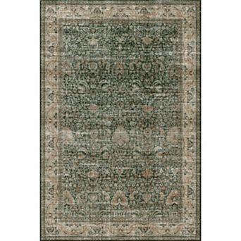 Washable Area Rug,Modern Non Slip Distressed Large Rug for Living Room,Stain Resistant Vintage Print