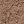 Walnut Taupe