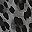 Charcoal Leopard