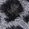 Charcoal