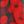Red Black