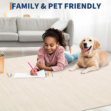 FairOnly Modern Solid Color Area Rug Low Pile Washable Non Slip Rug for Living Room Bedroom Kitchen