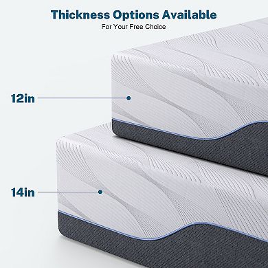 12 in Mattress, Medium-Firm All-Coated Fabric, 4-Layer Cotton, Removable Washable Cover