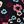 Black Floral