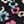 Black Floral