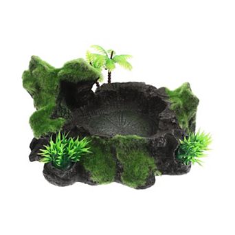 Terrarium Dish for Pet Reptiles