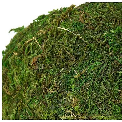 6 in. Artificial Green Moss Round Cave Habitat for Pet Reptiles, Frogs and Snakes