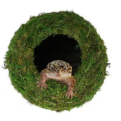 6 in. Artificial Green Moss Round Cave Habitat for Pet Reptiles, Frogs and Snakes