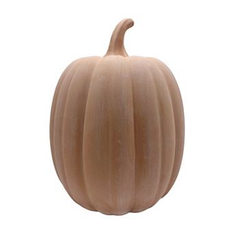 Celebrate Together™ Fall Terracotta Pumpkin Table Decor