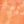 Gourd