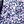 Purple Blue Floral