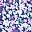 Purple Blue Floral