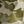 Green Camo