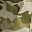 Green Camo