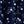 Navy Floral