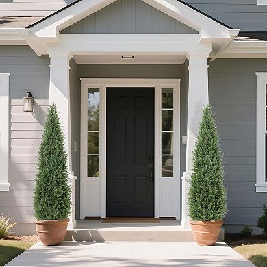 ANIXOL Set of 2 UV-Resistant Spiral Topiary Trees