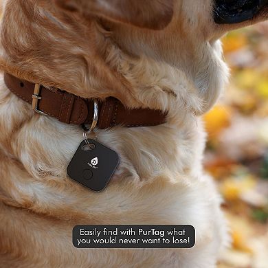 True Wireless Stereo Earbuds & Purtag Tracker