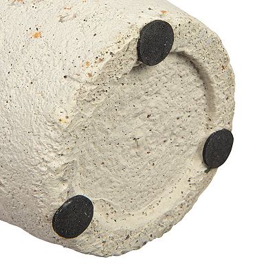 Hello Honey 17" Preserved Boxwood Cone Topiary in Clay Pot