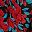 Black Red