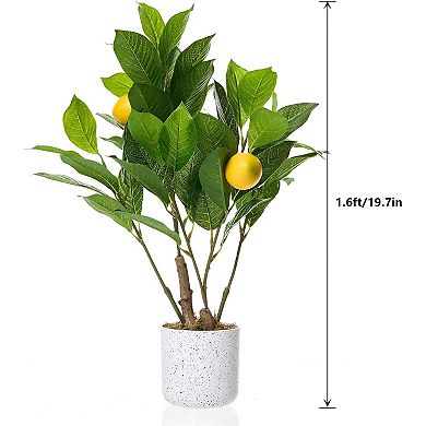 2Pcs Artificial Lemon Trees with White Pot, Faux Small Citrus Fake Plants