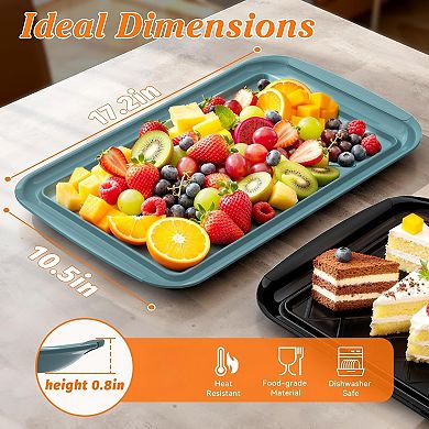 Great Ambitions Serving Trays for Party for Raw and Cooked Food, Dishwasher Safe,17×10.5-inch,BBQ