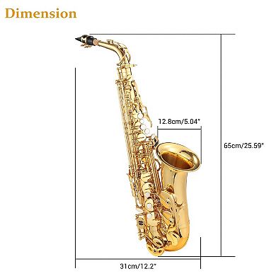 Alto Saxophone Package for All Levels (E Flat) , w/ Carrying Case, Neck Strap, Reeds, Stand