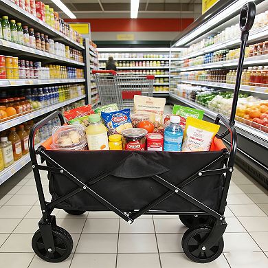 Whisen Mini Folding Wagon, Portable Hand Cart for Garden, Shopping, Beach