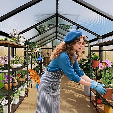 6×8 FT All-Season Greenhouse