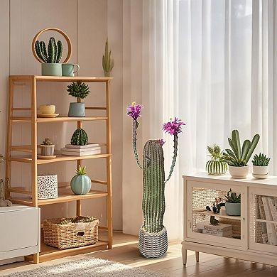 ANIXOL Artificial Cactus Potted Plant with Realistic Texture for Modern Desert Décor