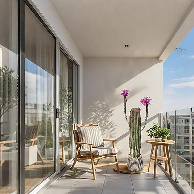 ANIXOL Artificial Cactus Potted Plant with Realistic Texture for Modern Desert Décor