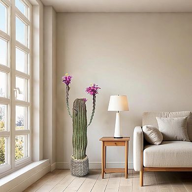 ANIXOL Artificial Cactus Potted Plant with Realistic Texture for Modern Desert Décor